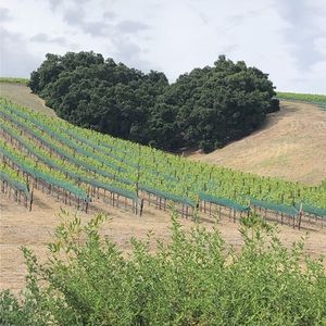 Meet your Posher, Mj